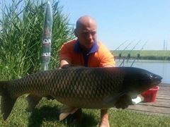 campion printre campioni